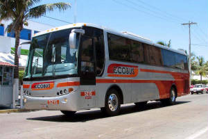 ecobus5215.jpg